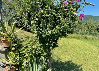 esterno - Villa Strada Bergotto 42, Berceto - foto 14