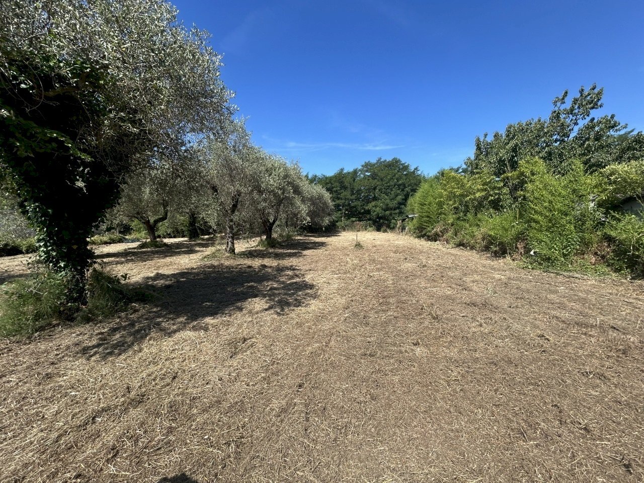 23017 - Building land Via Isola 44, Luni - photo 2
