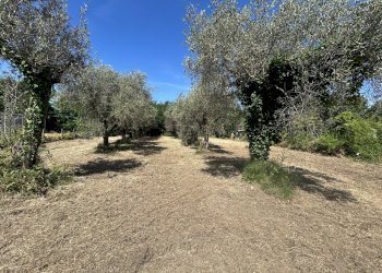 23016 - Building land Via Isola 44, Luni - photo 1
