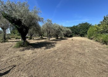 23018 - Building land Via Isola 44, Luni - photo 8