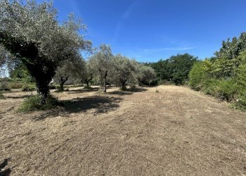 23019 - Building land Via Isola 44, Luni - photo 10