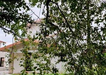 20230829_161326.jpg - Four-room apartment MONTE NETTO, Poncarale - photo 1