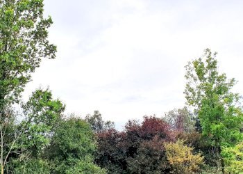 20230829_161447.jpg - Four-room apartment MONTE NETTO, Poncarale - photo 6