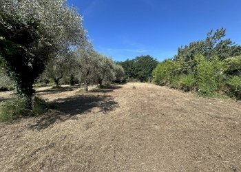 lu1 - Building land Luni - photo 1