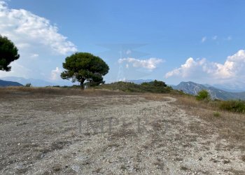 7 - Terreno agricolo Via alla Stazione 40, Ventimiglia - foto 7