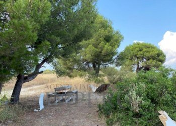 9 - Terreno agricolo Via alla Stazione 40, Ventimiglia - foto 9