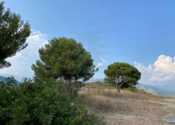 12 - Terreno agricolo Via alla Stazione 40, Ventimiglia - foto 12