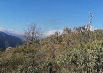 21 - Terreno agricolo Via alla Stazione 40, Ventimiglia - foto 21