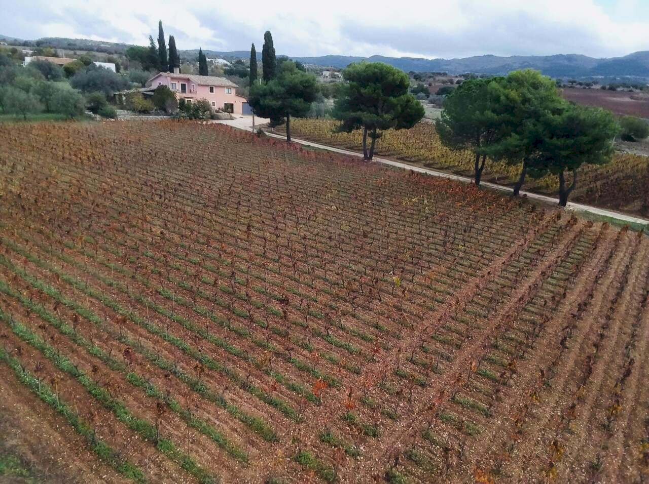 DRONE - Villa Chiaramonte Gulfi - foto 3