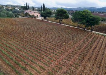 DRONE - Villa Chiaramonte Gulfi - foto 3