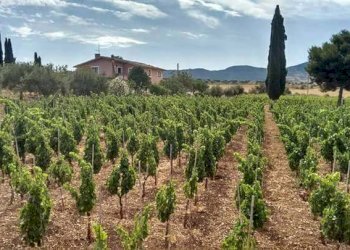 VIGNA2 - Villa Chiaramonte Gulfi - foto 6