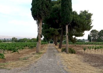 IMG_20260627_192405 - Villa Chiaramonte Gulfi - foto 13