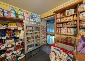 Ingresso - Alimentari - Gastronomia Premosello-Chiovenda - foto 3