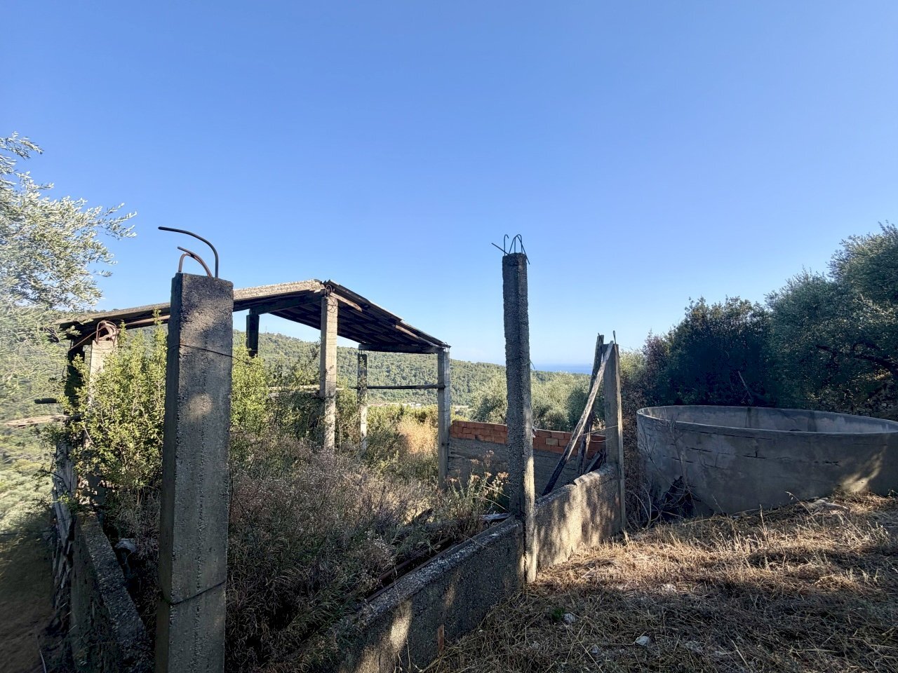 IMG_7506 - Terreno agricolo Via Chiappa 100, San Bartolomeo al Mare - foto 1