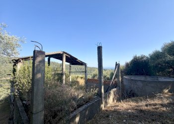 IMG_7506 - Terreno agricolo Via Chiappa 100, San Bartolomeo al Mare - foto 1