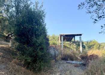 IMG_7505 - Terreno agricolo Via Chiappa 100, San Bartolomeo al Mare - foto 2