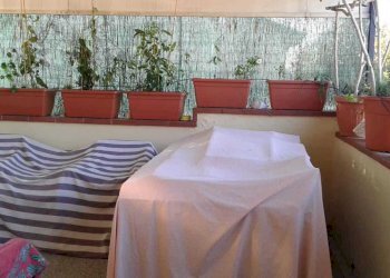 258074.jpg - Three-room apartment Pietrasanta - photo 10