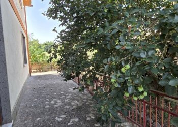 20260720_102109 - Independent house Via Giovanni Pascoli 18, Rignano Flaminio - photo 19
