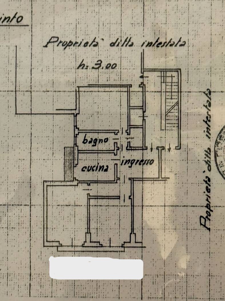 Planimetria - Appartamento Via Nino Bixio, Firenze - planimetria 1