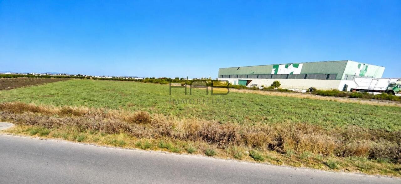 4ff38112-ce15-4700-9914-08547e974c88 - Agricultural land Paceco - photo 1