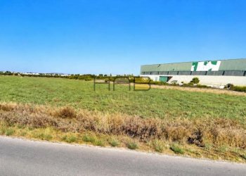 4ff38112-ce15-4700-9914-08547e974c88 - Agricultural land Paceco - photo 1