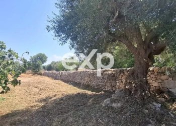 Villa Rosolini - photo 20
