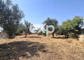 Villa Rosolini - photo 21