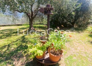 Rustic Pescaglia - photo 10