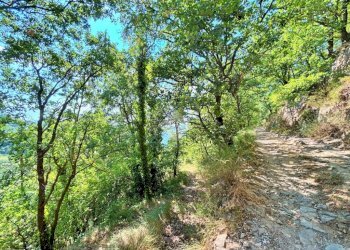Terreno edificabile Via Vallone, Montefiore Conca - foto 6
