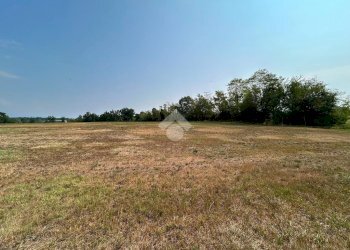 Terreno agricolo Via Battisti, San Gillio - foto 4