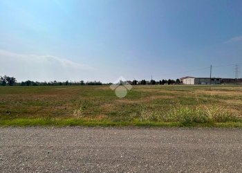 Terreno agricolo Via Battisti, San Gillio - foto 8