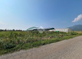 Terreno agricolo Via Battisti, San Gillio - foto 9