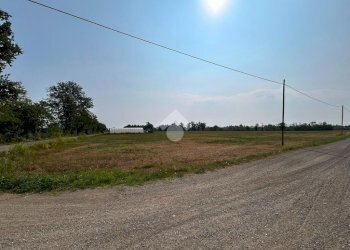 Terreno agricolo Via Battisti, San Gillio - foto 10