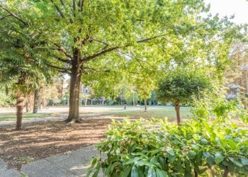 Four-room apartment Via flavia casadei, Rimini - photo 33