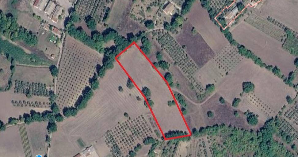 Foto 2 - Terreno agricolo Contrada San Pietro, Grottaminarda - foto 2