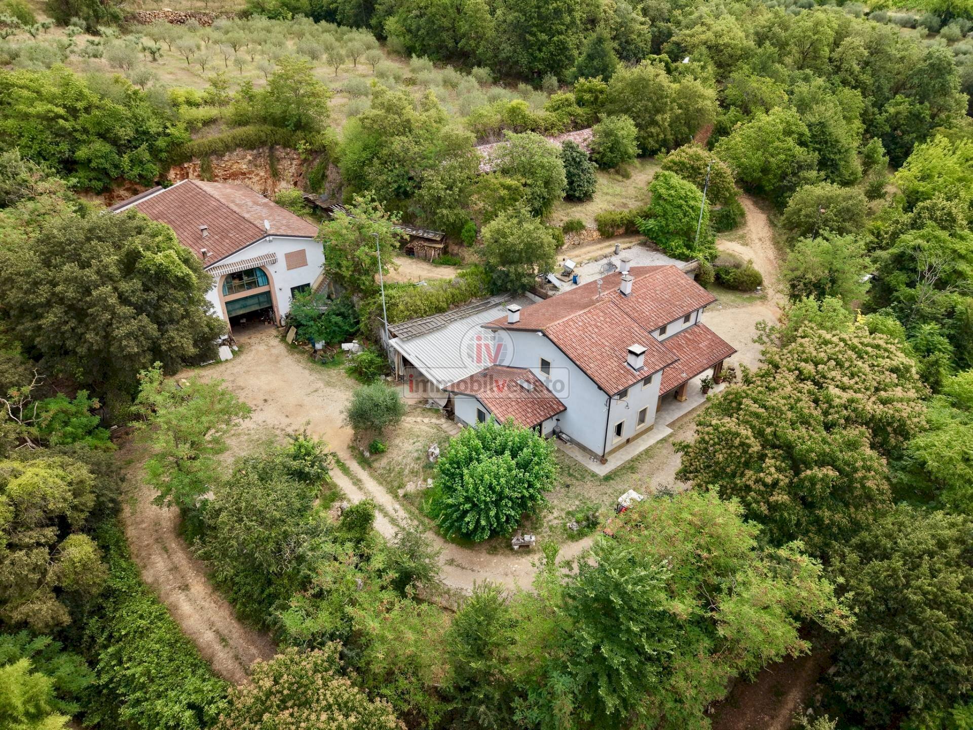 Foto 2 - Casa indipendente VIA MOLINI, Alonte - foto 2