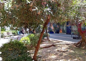 Giardino - Negozio Piazza Giuseppe Sciuti
20, Catania - foto 3