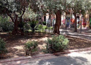 Giardino - Negozio Piazza Giuseppe Sciuti
20, Catania - foto 7
