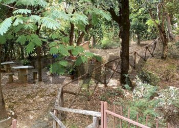 Giardino - Non-buildable land Via Pesenti
51, Perugia - photo 15