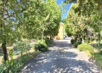 Foto 12 - Agriturismo C.da Fiorano, Loreto Aprutino - foto 12
