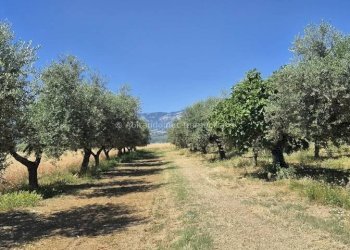 Foto 47 - Agriturismo C.da Fiorano, Loreto Aprutino - foto 47