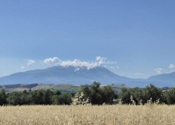 Foto 54 - Agriturismo C.da Fiorano, Loreto Aprutino - foto 54