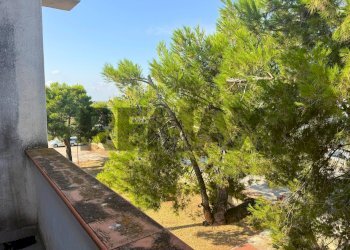 Giardino - Three-room apartment Viale dei Gerani Scalo dei Saraceni
 
snc, Manfredonia - photo 22
