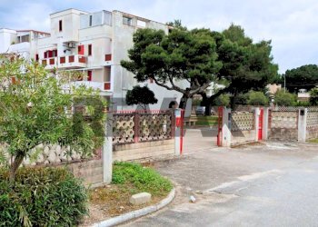 Edificio all\'aperto - Three-room apartment Viale dei Gerani Scalo dei Saraceni
 
snc, Manfredonia - photo 23