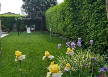 Foto 23 - Three-room apartment VIA DON BOSCO, Collegno - photo 23