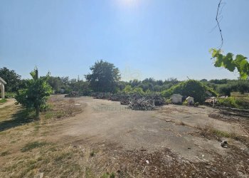 Foto 4 - Villa via casilina, Pignataro Maggiore - photo 4