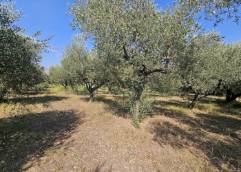 Foto 7 - Villa via casilina, Pignataro Maggiore - photo 7