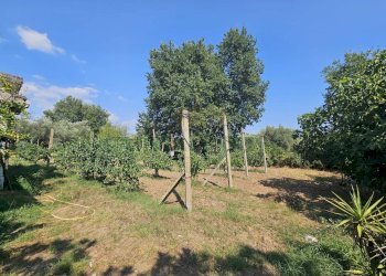 Foto 10 - Villa via casilina, Pignataro Maggiore - photo 10
