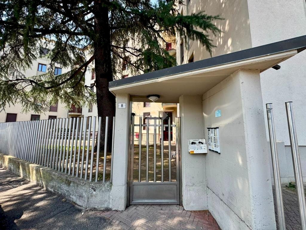 Trilocale Via pola, Novara - foto 3