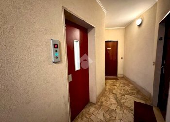 Trilocale Via pola, Novara - foto 7